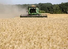 3 млн тонн зерна собрано в Саратовской области